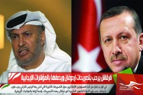 قرقاش يرحب بتصريحات إردوغان ويصفها بالمؤشرات الإيجابية