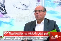 فيديو: المرزوقي لحكام الإمارات : عيب .. وين الشهامة العربية ؟!