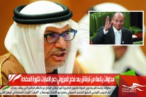 محاولات يائسة من قرقاش بعد فضح المرزوقي دعم الإمارات للثورة المضادة