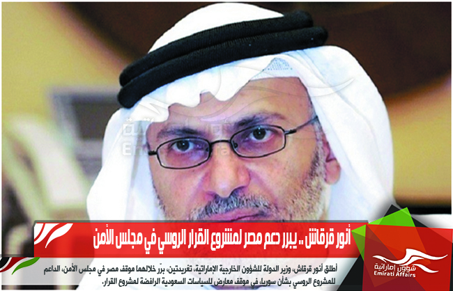 أنور قرقاش .. يبرر دعم مصر لمشروع القرار الروسي في مجلس الأمن