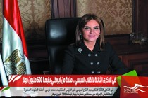 في الذكرى الثالثة لانقلاب السيسي .. منحة من أبوظبي بقيمة 500 مليون دولار