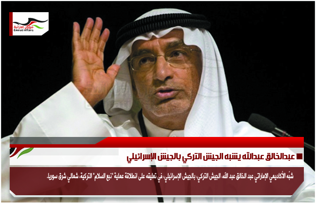 عبدالخالق عبدالله يشبه الجيش التركي بالجيش الإسرائيلي