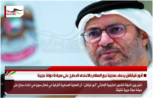 أنور قرقاش يصف عملية نبع السلام بالاعتداء الصارخ على سيادة دولة عربية