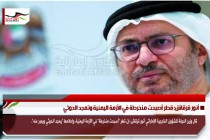 أنور قرقاش: قطر أصبحت منخرطة في الأزمة اليمنية وتمجد الحوثي
