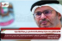 أنور قرقاش يصف عملية نبع السلام بالاعتداء الصارخ على سيادة دولة عربية