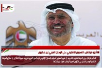 أنور قرقاش : العدوان الإقليمي على الوطن العربي غير مقبول