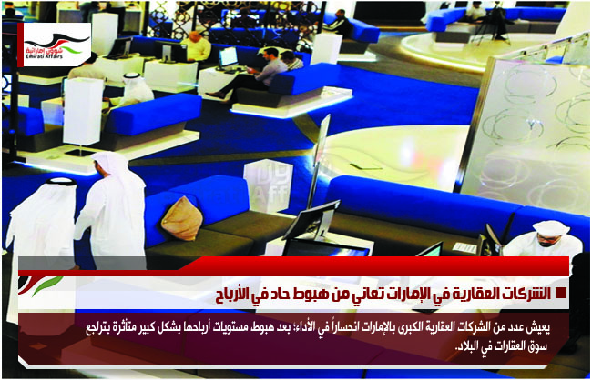 الشركات العقارية في الإمارات تعاني من هبوط حاد في الأرباح