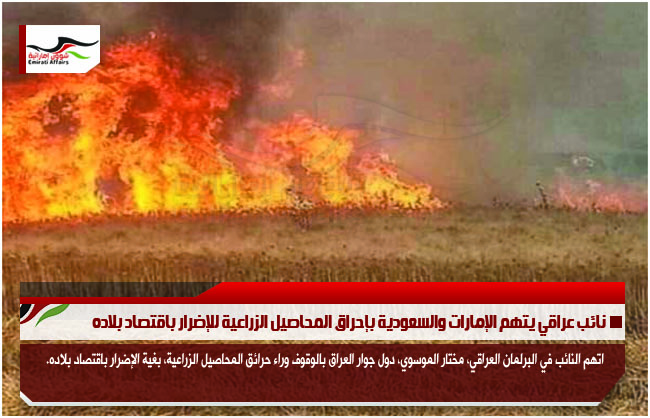 نائب عراقي يتهم الإمارات والسعودية بإحراق المحاصيل الزراعية للإضرار باقتصاد بلاده
