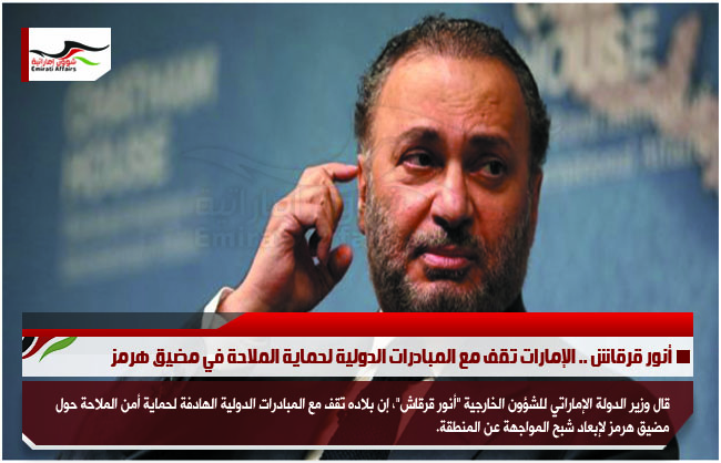 أنور قرقاش .. الإمارات تقف مع المبادرات الدولية لحماية الملاحة في مضيق هرمز