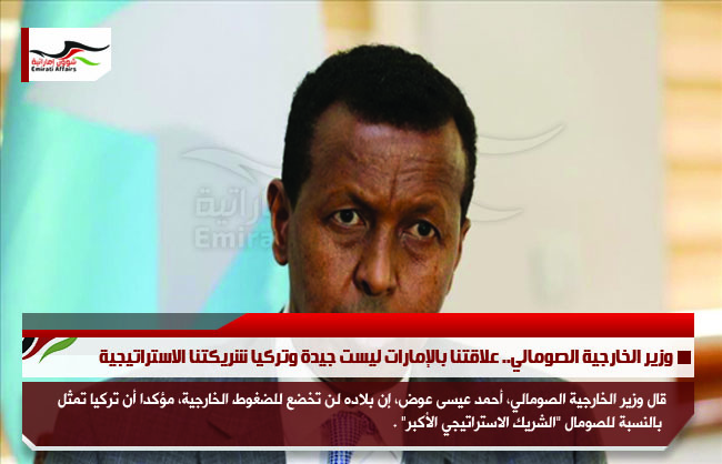 وزير الخارجية الصومالي.. علاقتنا بالإمارات ليست جيدة وتركيا شريكتنا الاستراتيجية