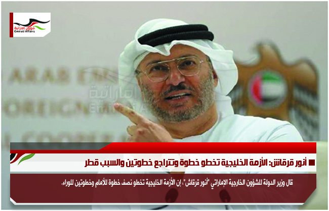 أنور قرقاش: الأزمة الخليجية تخطو خطوة وتتراجع خطوتين والسبب قطر