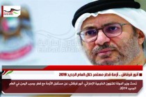 أنور قرقاش .. أزمة قطر مستمر خلال العام الجديد 2019