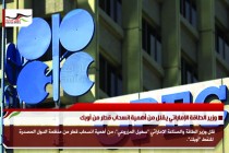 وزير الطاقة الإماراتي يقلل من أهمية انسحاب قطر من أوبك