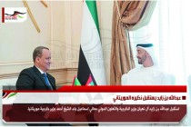 عبدالله بن زايد يستقبل نظيره الموريتاني