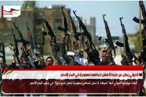 الحوثي يعلن عن ضبط 3 سفن احداهما سعودية في البحر الأحمر
