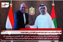 عبدالله بن زايد يبحث مع نظيره المصري الأوضاع في سوريا وليبيا