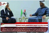 محمد بن زايد يبحث مع وزير الطاقة السعودي الملفات المشتركة