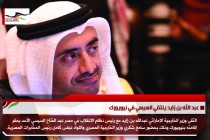 عبد الله بن زايد يلتقي السيسي في نيويورك