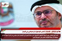 أنور قرقاش .. الإمارات تسعى للوصول لحل سياسي في اليمن