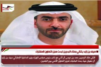 سيف بن زايد يلتقي بملك البحرين لبحث سبل التعاون المشترك