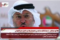 أنور قرقاش .. ندعم انتقال منظم في السودان ولا نريد المزيد من الفوضى
