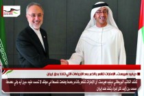 ديفيد هيرست.. الإمارات تشعر بالذعر بعد الإجراءات التي تتخذ بحق إيران