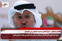 أنور قرقاش .. ندعو لتفادي عمليات الفوضى في السودان