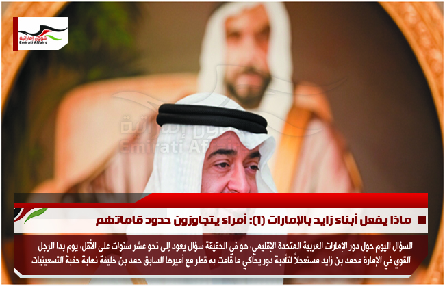 ماذا يفعل أبناء زايد بالإمارات (1): أمراء يتجاوزون حدود قاماتهم