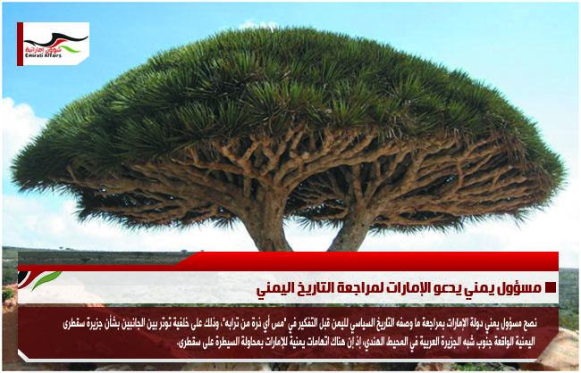 مسؤول يمني يدعو الإمارات لمراجعة التاريخ اليمني
