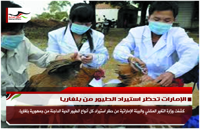 الإمارات تحظر استيراد الطيور من بلغاريا