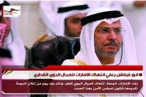 انور قرقاش ينفي انتهاك الامارات للمجال الجوي القطري