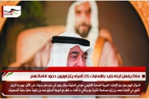 ماذا يفعل أبناء زايد بالإمارات (1): أمراء يتجاوزون حدود قاماتهم
