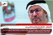 قرقاش .. التحالف كان لتفادي فتنة في عدن