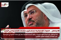 قرقاش .. القوات الإماراتية تسطر أروع صفحات التضحية في اليمن