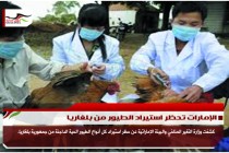 الإمارات تحظر استيراد الطيور من بلغاريا