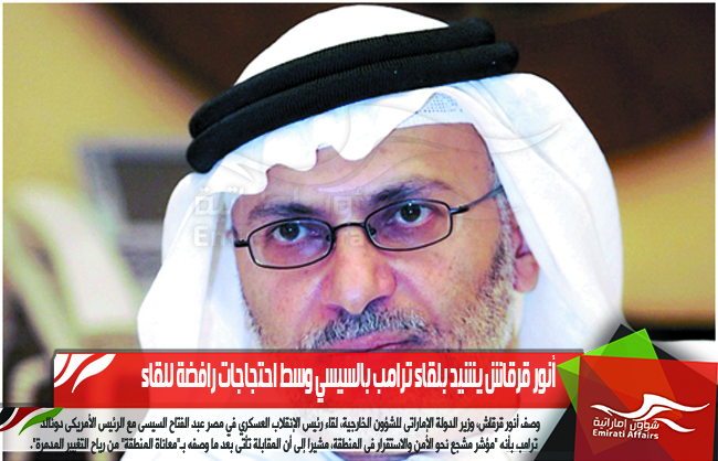 أنور قرقاش يشيد بلقاء ترامب بالسيسي وسط احتجاجات رافضة للقاء