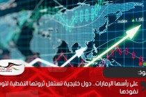 على رأسها الإمارات.. دول خليجية تستغل ثروتها النفطية لتوسيع نفوذها