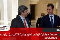 صحيفة إسرائيلية: تل أبيب تنظر بـإيجابية للتقارب بين دول خليجية ونظام الأسد