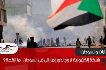 شبكة إلكترونية تروج لدور إماراتي في السودان.. ما القصة؟
