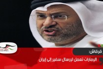قرقاش: الإمارات تعمل لإرسال سفير إلى إيران