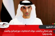 وزير إماراتي يكشف عوائد الاتفاقيات مع إسرائيل والهند وإندونيسيا