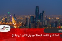 استطلاع: اقتصاد الإمارات ودول الخليج في تباطؤ
