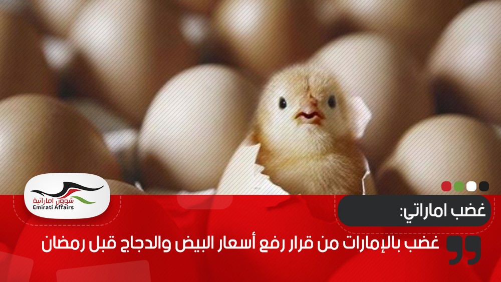 قرقاش عقب زيارة الأسد للإمارات: يكفي عقد من الحروب والفوضى والدمار