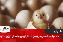 قرقاش عقب زيارة الأسد للإمارات: يكفي عقد من الحروب والفوضى والدمار