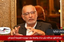 عبدالخالق عبدالله يثير جدلا واسعا بعد ترويجه لهزيمة أردوغان