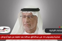 سخرية وهجوم حاد على عبدالخالق عبدالله بعد تقليله من فوز أردوغان