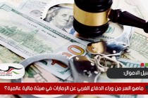 ماهو السر من وراء الدفاع الغربي عن الإمارات في هيئة مالية عالمية؟