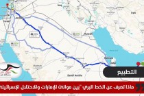 ماذا تعرف عن الخط البري "بين موانئ الإمارات والاحتلال الإسرائيلي"؟