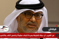 قرقاش يرد على تصريحات الرئيس الجزائري