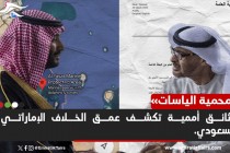 وثائق أممية تكشف خلافات حدودية بين السعودية والإمارات